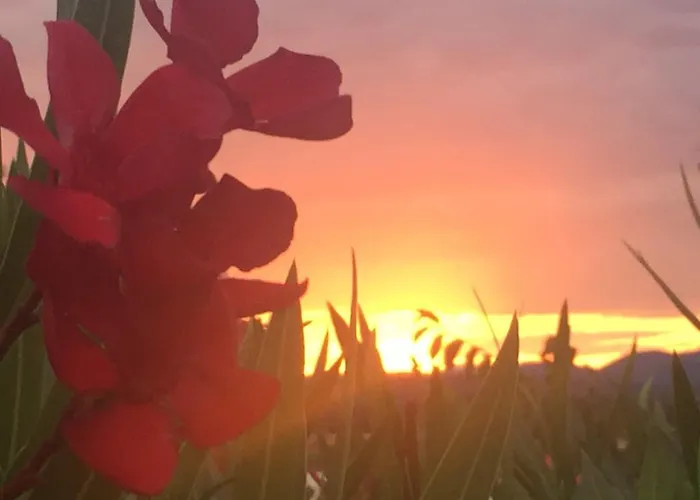 Relais Il Pigno Lantställe *