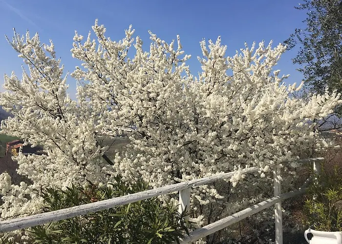 Relais Il Pigno Casa di campagna *