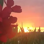 Relais Il Pigno Casa de Campo *